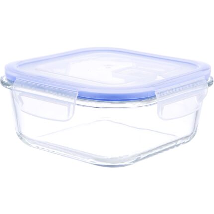 Kinetic Go Green Glassworks Elements Series 17-Ounce Square Food Storage Container with Vented Lid ,Clear